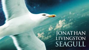 Juan Salvador Gaviota — foto 4
