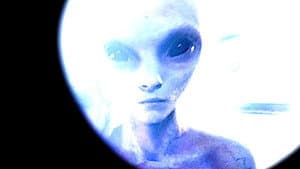 The Alien Report — foto 1