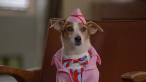Santa Paws 2: los cachorros de Santa — foto 2