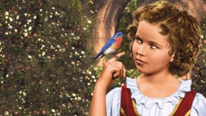 El pájaro azul — foto 6