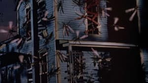 Mosquito — foto 8