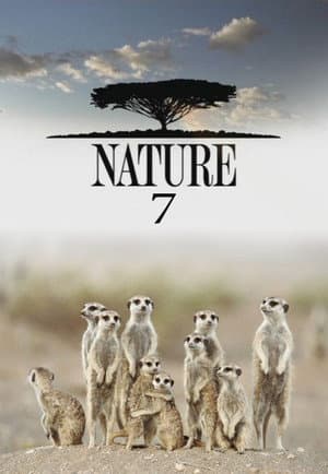 Temporada 7