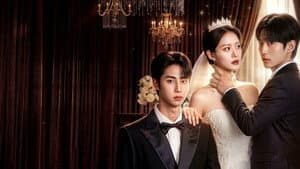 D-100 남편을 리셋합니다 — foto 1
