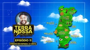 Episodio 11