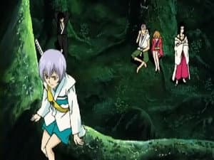 Episodio 12