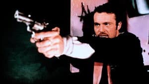 Poliziotti — foto 1