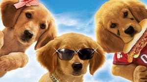 Air Buddies — foto 2