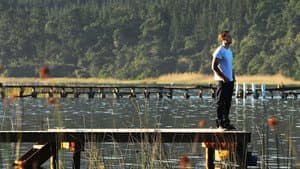 The Endless River — foto 2