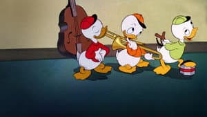Los sobrinos de Donald — foto 6