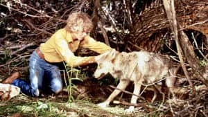 The Flight of the Grey Wolf — foto 2