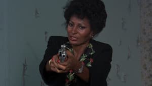 Sheba, Baby — foto 6