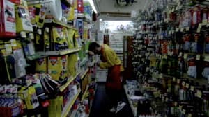 Townsend's Last Night — foto 1