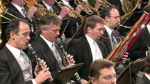 Neujahrskonzert der Wiener Philharmoniker 2009 — foto 5
