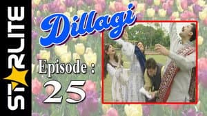Episodio 25