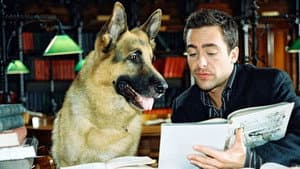 Episodio 11