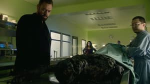 Episodio 8