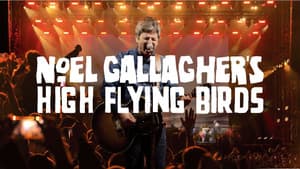 Noel Gallagher's High Flying Birds - Live at Wythenshawe Park, Manchester — foto 1