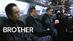 Brother — foto 8