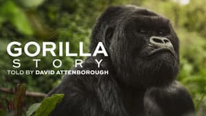 Una historia de gorilas contada por David Attenborough — foto 3