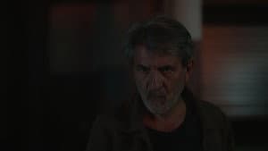Episodio 221