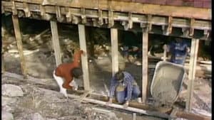 Episodio 5