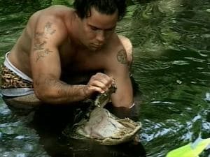 Episodio 7