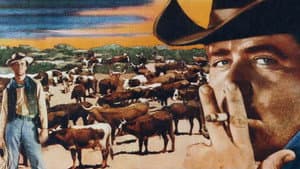 El vaquero — foto 11