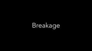 Breakage — foto 1