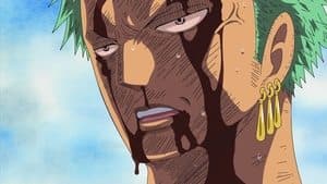 El dolor de mis compañeros es el mío. La lucha desesperada de Zoro.
