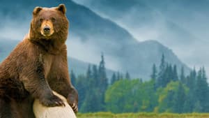 Kodiak — foto 3