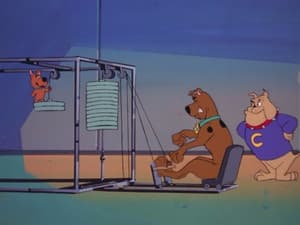 Episodio 29