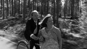 Hymyilevä mies — foto 9