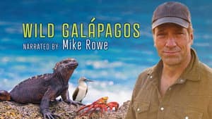 Wild Galápagos — foto 3