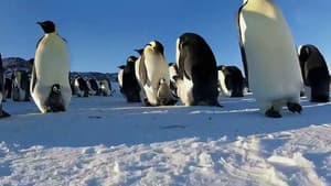 Caméras-espions au pays du froid — foto 1