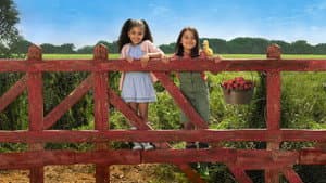 Nuestra pequeña granja — foto 4