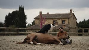 Hermano caballo — foto 1