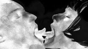 Orgone Theory — foto 1