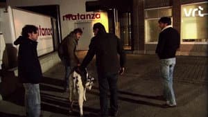 Episodio 5