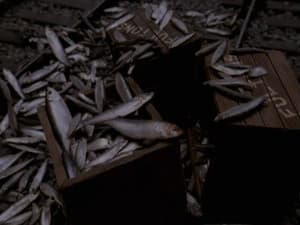 Episodio 24