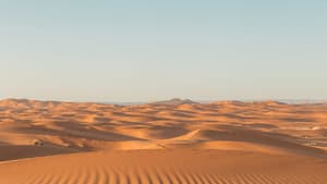 Sahara Swing — foto 1