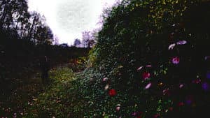 La Voie — foto 1