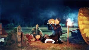 Mê Thảo - thời vang bóng — foto 1