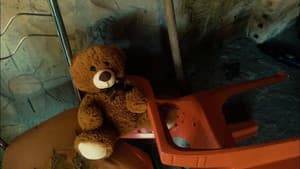 Teddy Bear — foto 8
