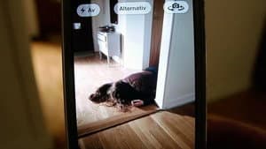 Cam Closer — foto 1
