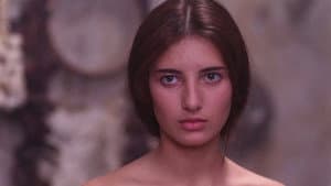 عصفور السطح — foto 6