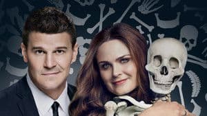 Bones — foto 5