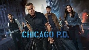 Policías de Chicago — foto 1