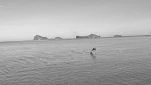 Mapanglaw — foto 6