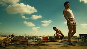 Happy together — foto 7
