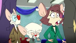 Episodio 24